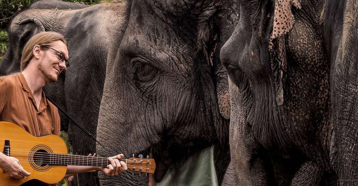 Siem Reap: Small Group Tour of Kulen Elephant Forest - Overview of Kulen Elephant Forest