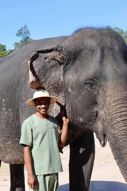 Siem Reap: Small Group Tour of Kulen Elephant Forest