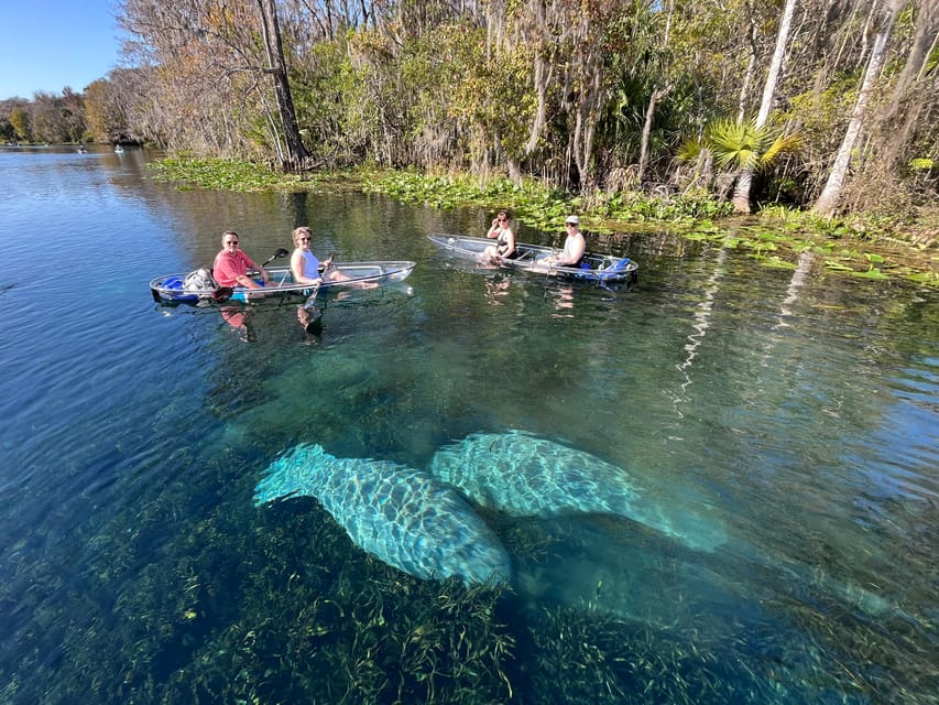 Silver Springs: Clear Kayak Wildlife Tour - Tour Overview and Experience