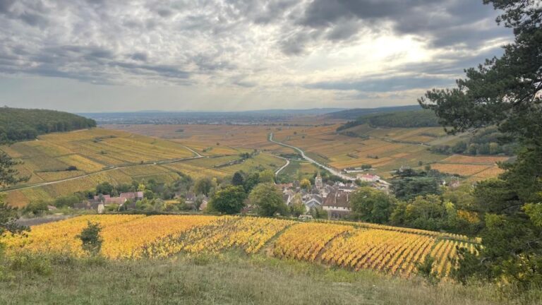 Small Group Tour Morning in Côte De Beaune