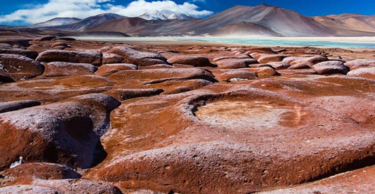 Snails: Red Stones of Atacama and Chaxa Guided Day Trip