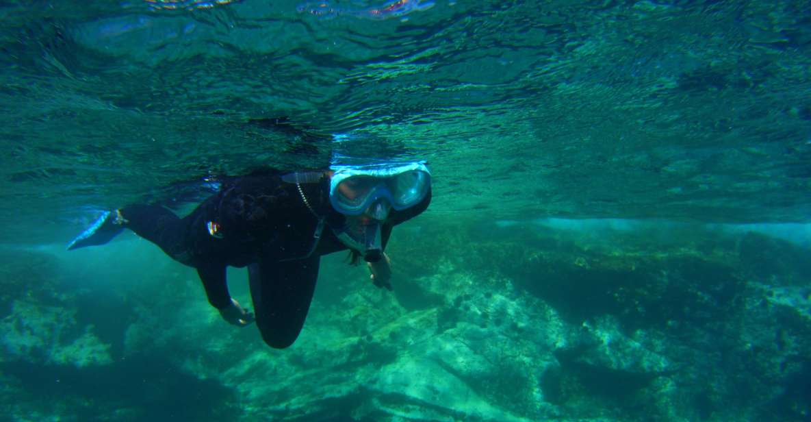 Snorkeling in a Volcanic Bay - Activity Overview