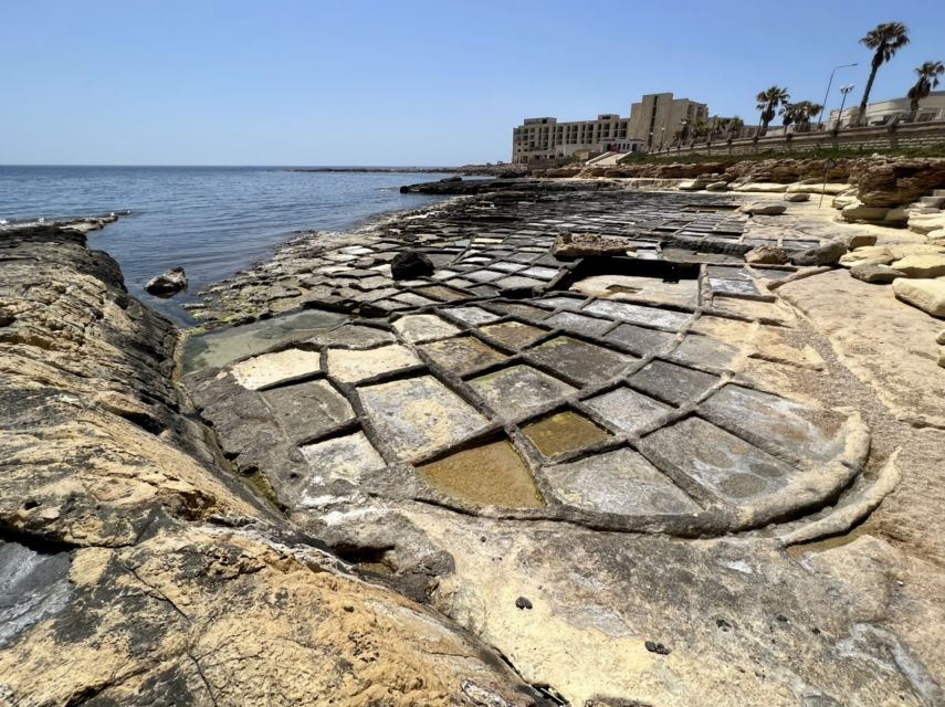 South Coast Private Nature Walking Tour With Transport - Tour Overview