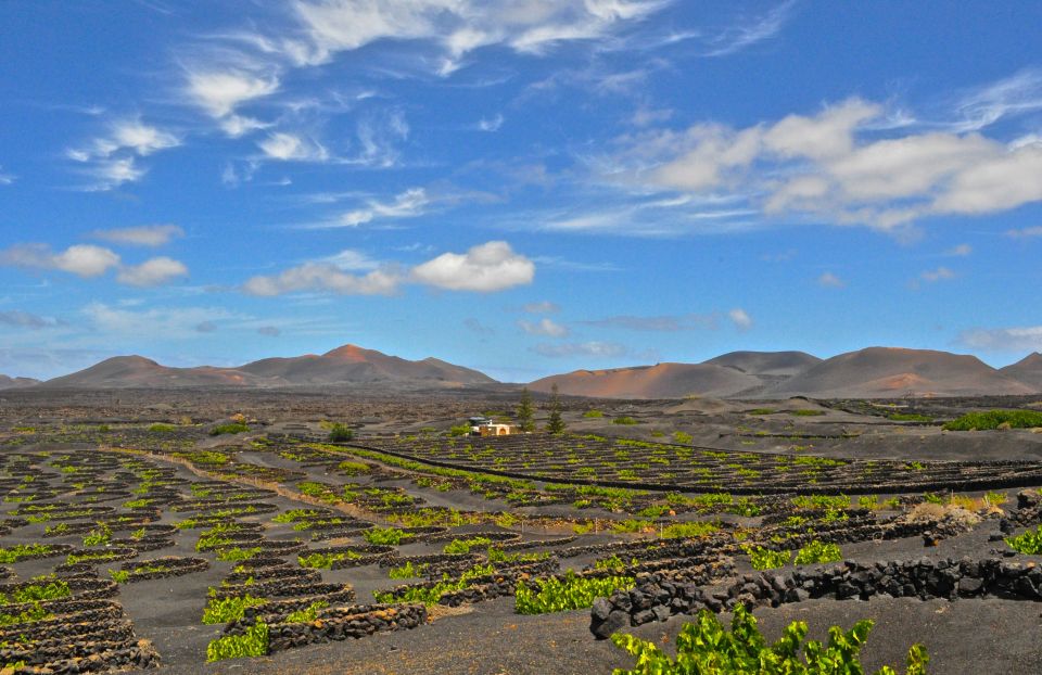 South Tour: Timanfaya National Park - Tour Overview