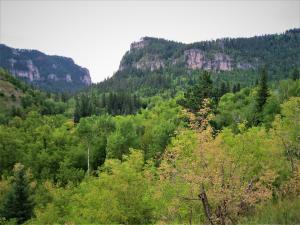 Spearfish Canyon Lodge - Hotel Overview