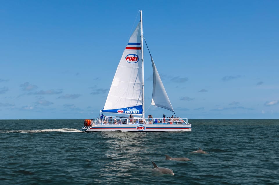 St.Augustine: Dolphin Watch & Historical Harbor Tour +Drinks - Tour Overview