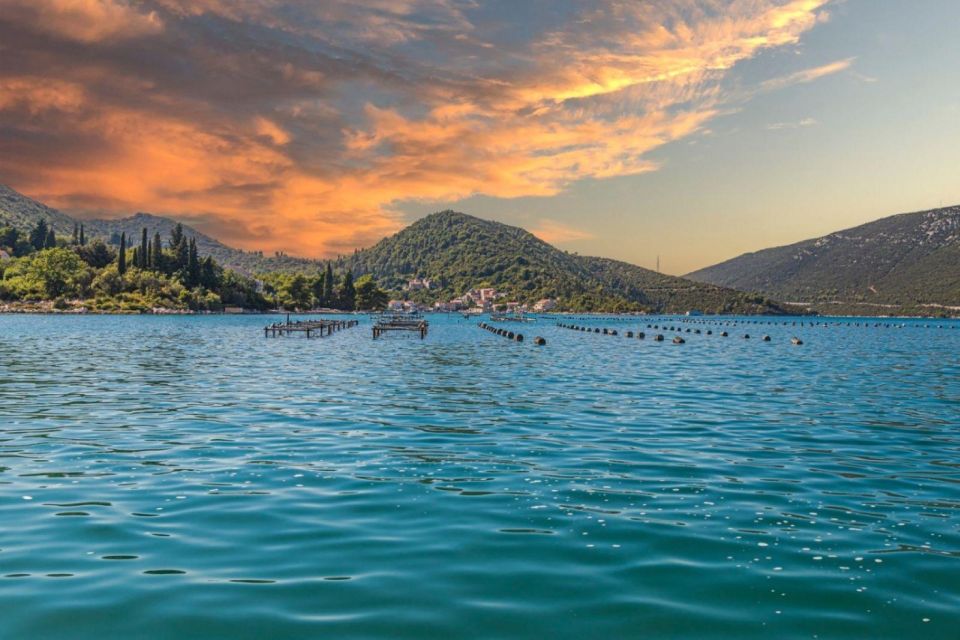 Ston Oysters and Wine Tasting Tour From Dubrovnik - Tour Overview