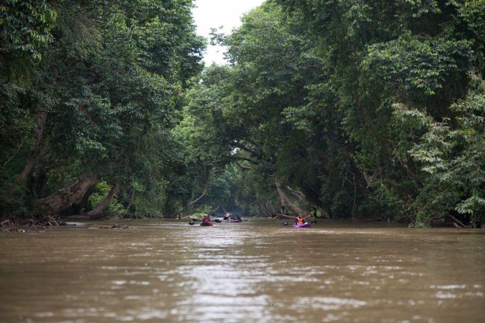 Sungai Berang Wildlife & Cultural Kayak Tour - Tour Overview