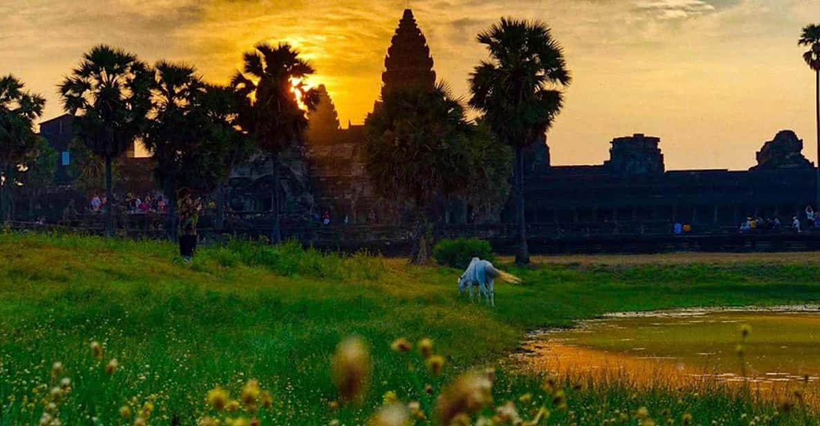 Sunrise Cycling Of Angkor Wat Temple - Overview of the Activity