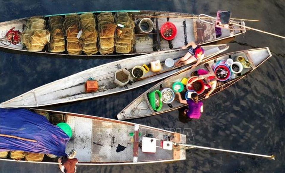 Sunrise Floating Market on Tam Giang Lagoon - Overview of the Market