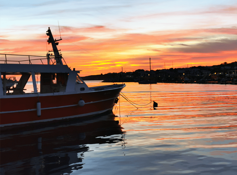 Sunset Boat Party in the Waters of Salento With Drinks