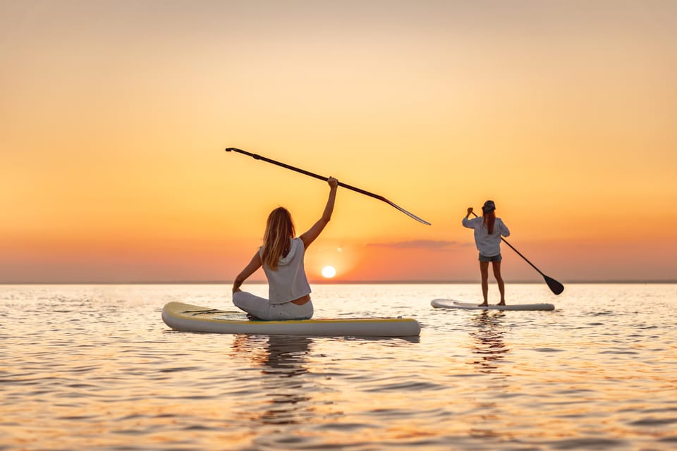 Sunset Dolphin & Bioluminescent Comb Jelly Tour Florida - Experience Highlights