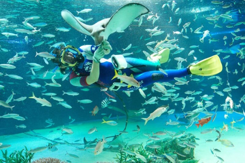 Sunshine Aquarium - Unique Visitor Experience