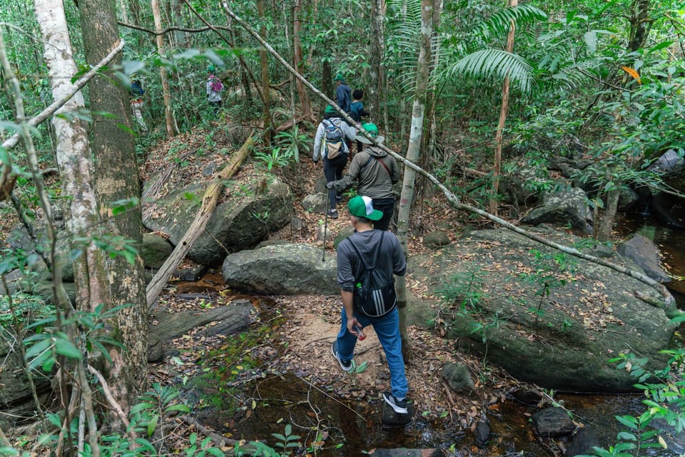 Suoi Tien 1-Day Trekking: Phu Quoc Excursion - Tour Overview and Pricing