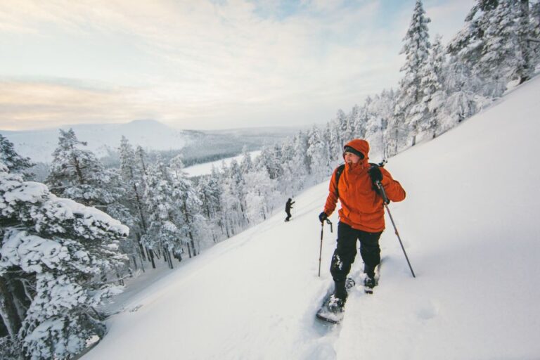 Surprise: Forest Hike With Snowshoes and Campfire Snacks