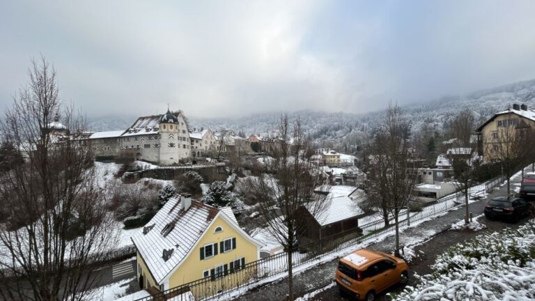 Surprise Tour of Bregenz Guided by a Local