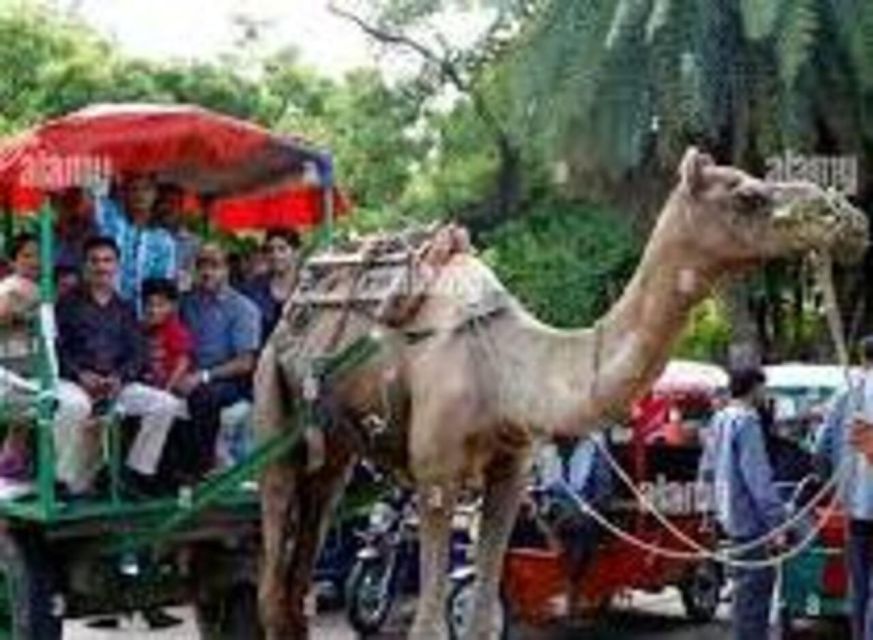 Tajmahal Tour With Tuktuk,Camel & Horse Cart - Tour Overview and Pricing