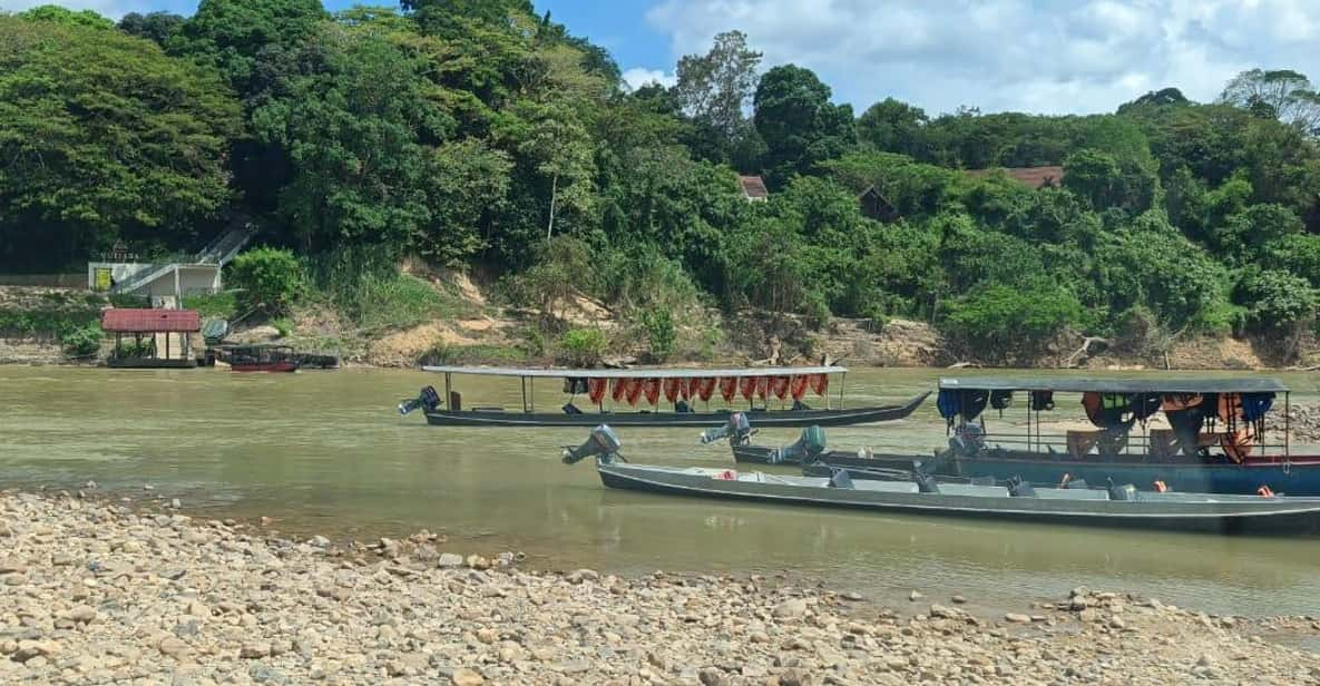 Taman Negara :Oldest Rainforest Park Guided Tour - Overview of Taman Negara