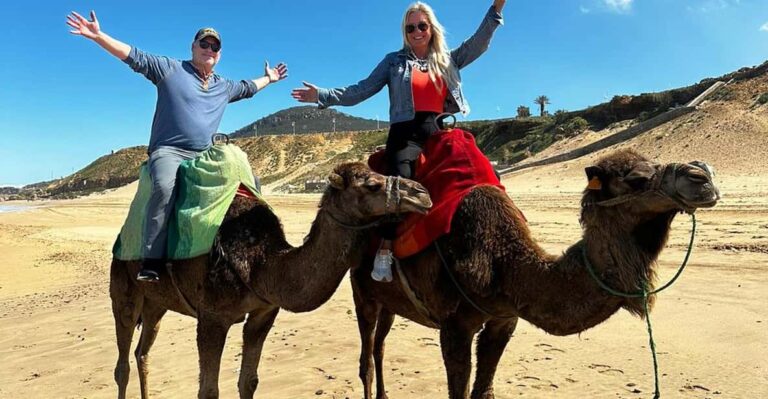 Tangier Tours With Ferry Ticket Camel Trek and Moroccan Food