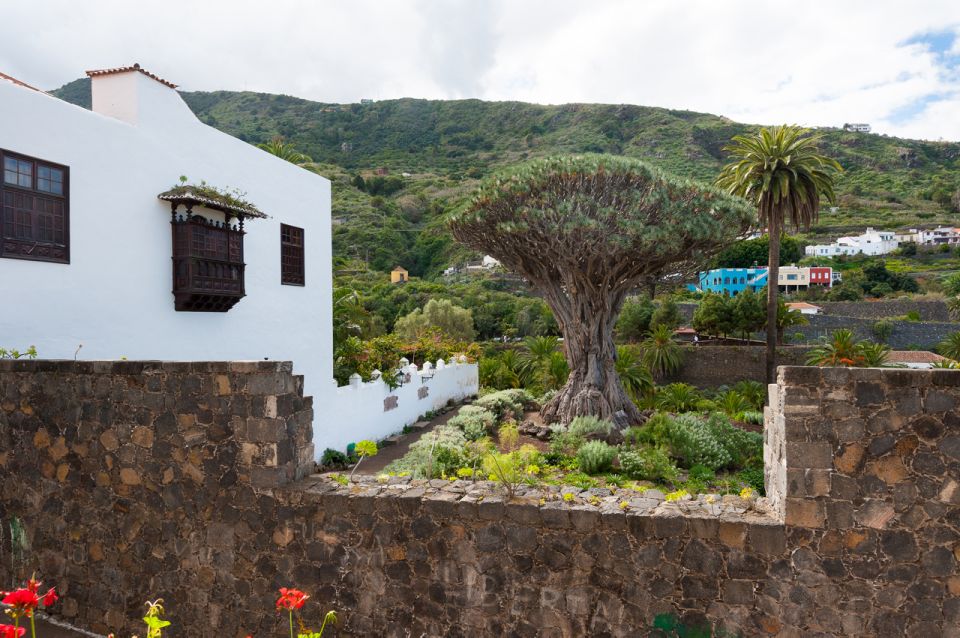 Tenerife: Full-Day Guided Island Tour - Tour Overview