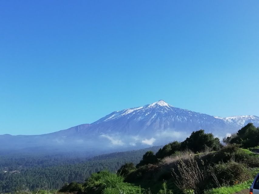 Tenerife: Guided Horseback Riding Tour to the Lomo Forest - Tour Overview