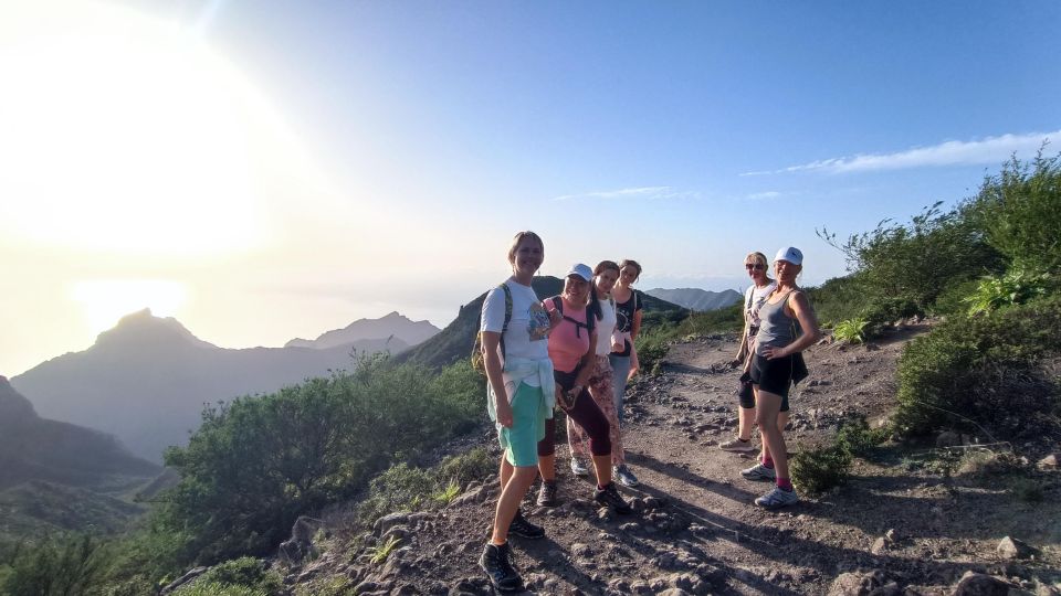 Tenerife: Hiking Tour Above Masca and Enchanted Forest - Tour Overview and Pricing