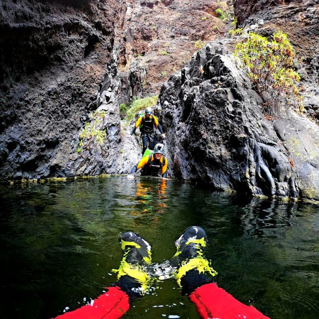 Tenerife: Los Carrizales Water Canyoning Tour - Tour Overview and Pricing