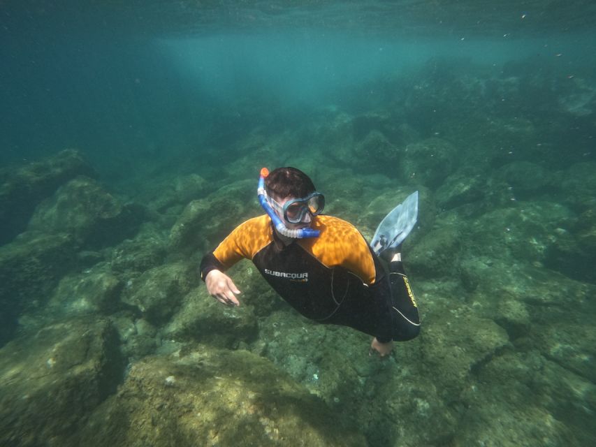 Tenerife: Puerto Colon Snorkel Safari by Speed Boat - Activity Overview