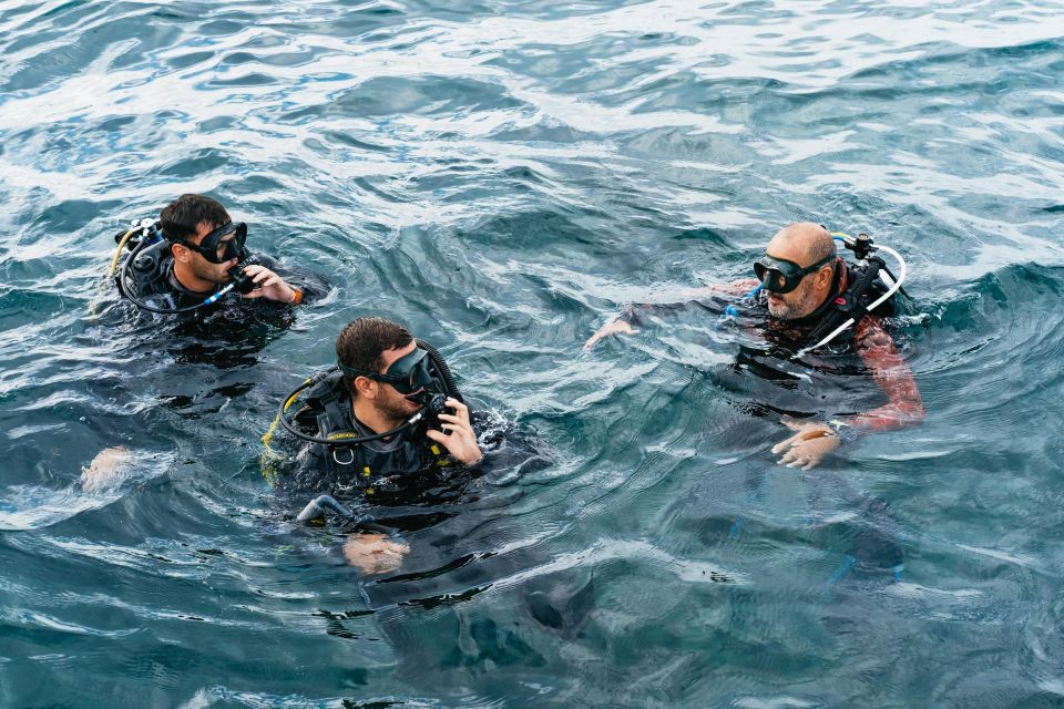 Tenerife: Scuba Diving Experience With Instructor and Gear - Activity Overview