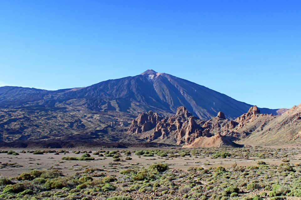 Tenerife: Teide and Las Cañadas Half-Day Tour - Tour Overview