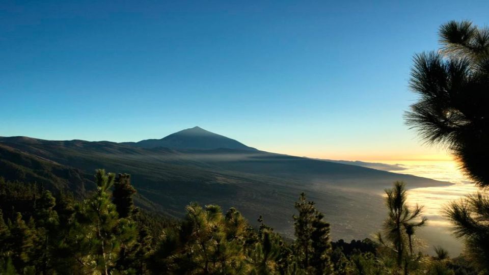 Tenerife: Teide National Park Guided Full-Day Trip by Bus - Overview and Pricing