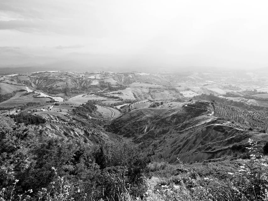 Teramo: Private Oil Mill Tour and Guided Tasting - Historic Oil Production