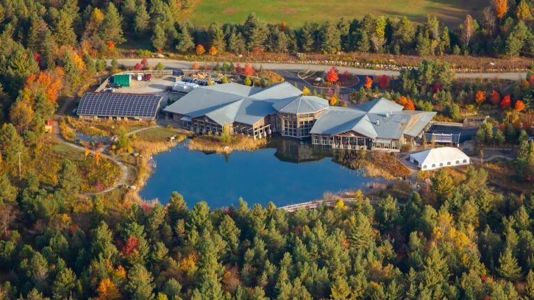 The Adirondacks: The Wild Center Admission Ticket