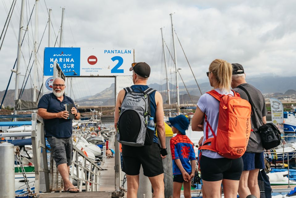 The Cookies: Whale & Dolphin Tour With Local Skipper - Tour Overview