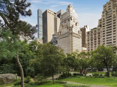 The Ritz-Carlton New York, Central Park - Hotel Overview