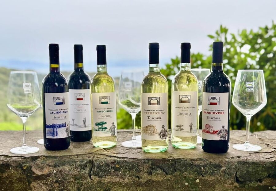 The Wines of Maremma, the Grape Varieties of Maremma Tuscany