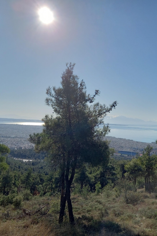 Thessaloniki E-MTB SHEIH SOU- CYCLING - Key Points