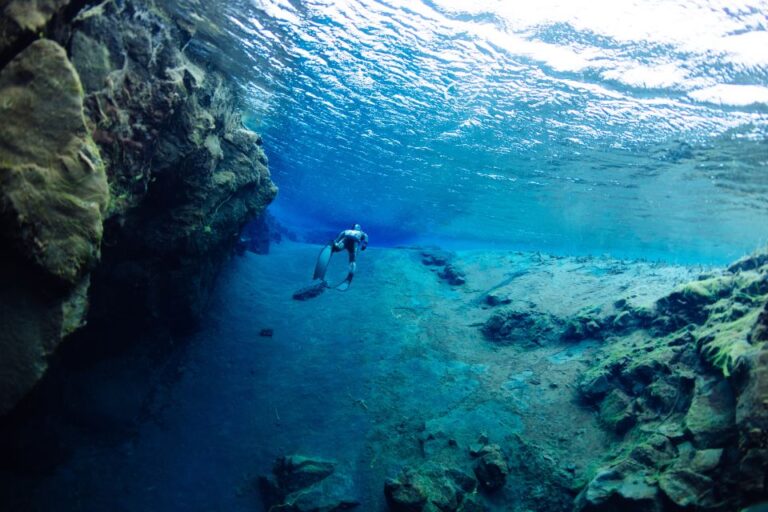 Thingvellir: Silfra Freedive Adevnture With a Guide