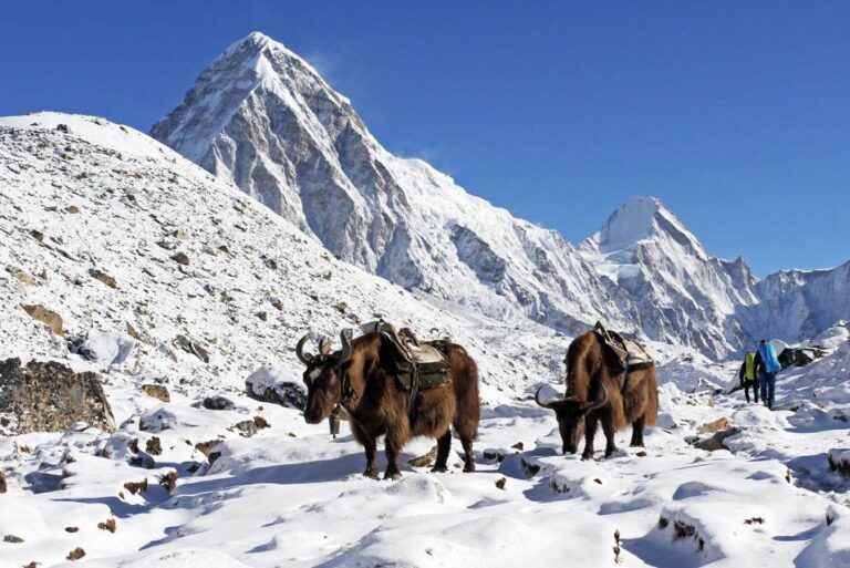 Three High Pass Everest Trek