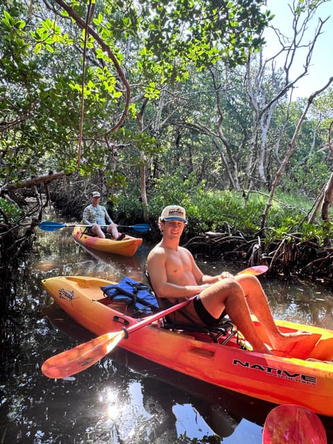 Tierra Verde: Shell Key Mangrove Private Guided 1.5 Hr Tour - Tour Overview