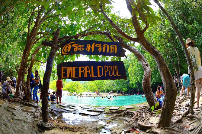 Tiger Cave Temple, Emerald Pool & Hot Springs Tour From Krabi - Itinerary Details