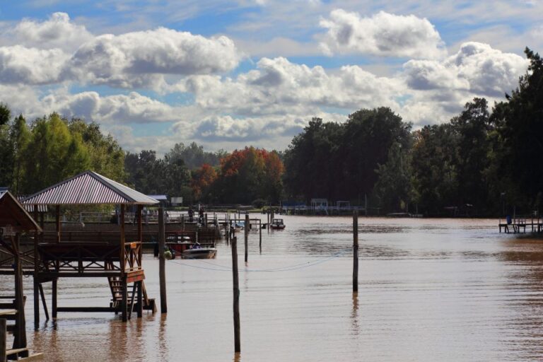 Tigre: 1-Hour River Delta Panoramic Boat Tour