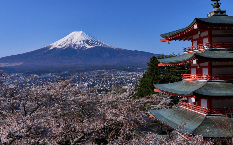 Tokyo Day Trip -Mount Fuji Private Tour From Tokyo - Itinerary Highlights