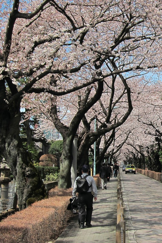 Tokyo in a Day a Self-Guided Audio Walk in English - Itinerary and Timing