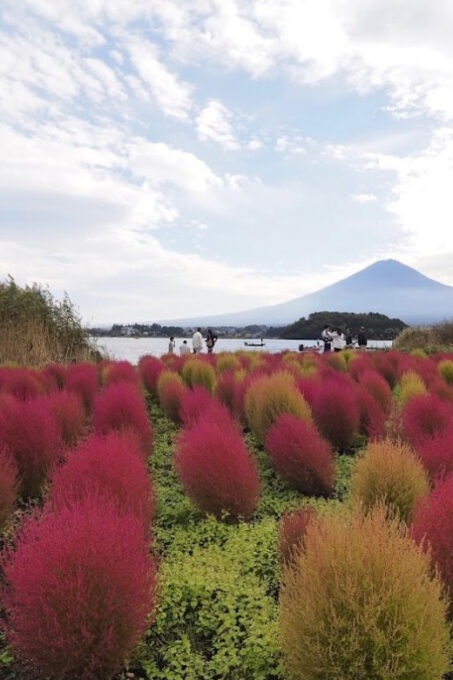Tokyo: Mt. Fuji Private Day Trip With Hotel Pickup - Recap