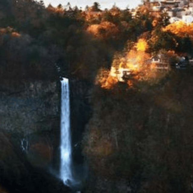 Tokyo: Nikko World Heritage Private Tour By English Guide - Inclusions and Exclusions