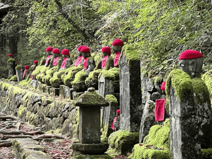 Tokyo: Private Nikko Sightseeing Tour In Luxury Land Cruiser - Contact Information