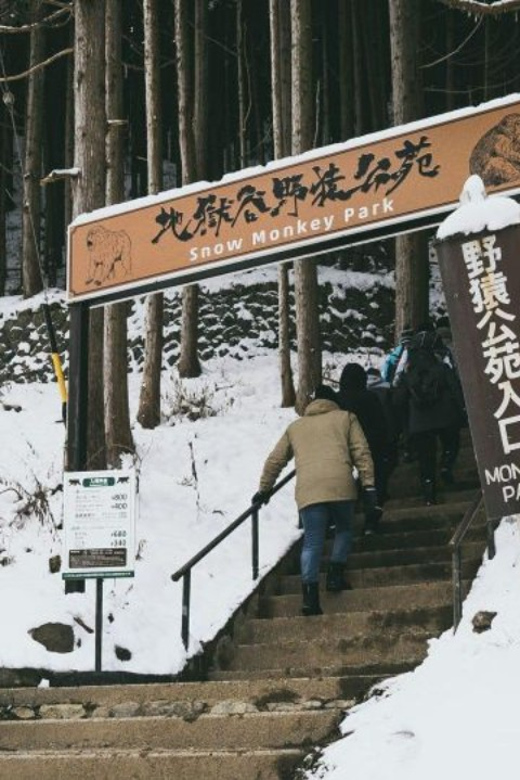 Tokyo: Snow Monkey Park & Zenkoji Temple Private Day Tour - Exploring Obuse and Local Delicacies