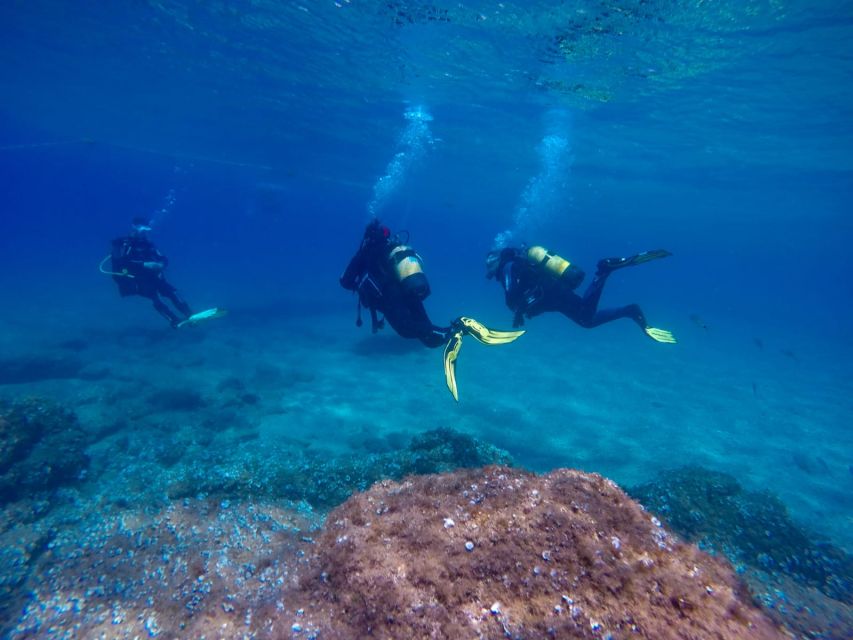 Tossa De Mar: Scuba Diving Experience for Beginners