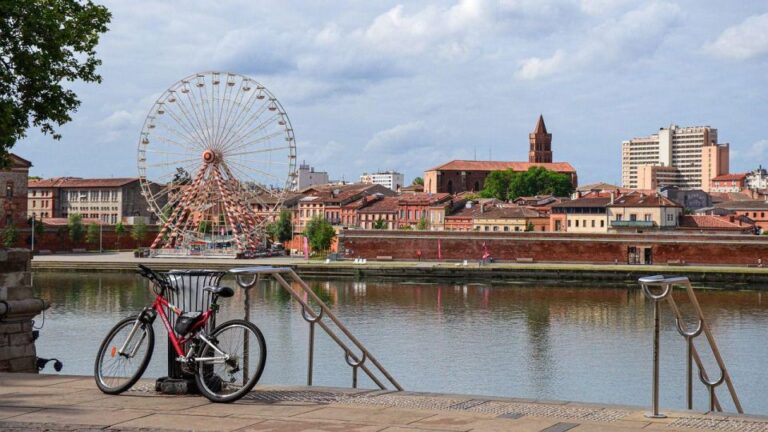 Toulouse: Christmas Market Walking Tour